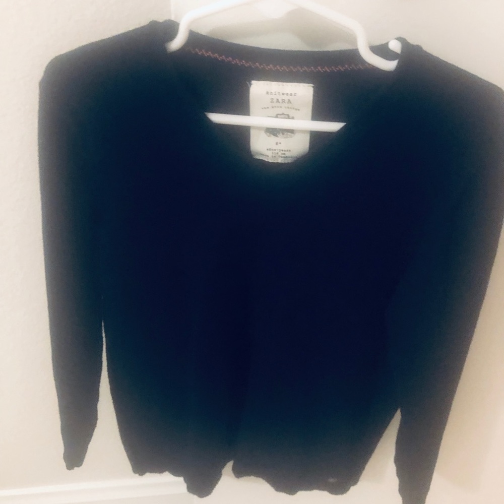 Zara Navy sweater
